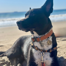 Load image into Gallery viewer, Commission Dog Tag — Human-Grade Dog Jewelry — Copper/Brass